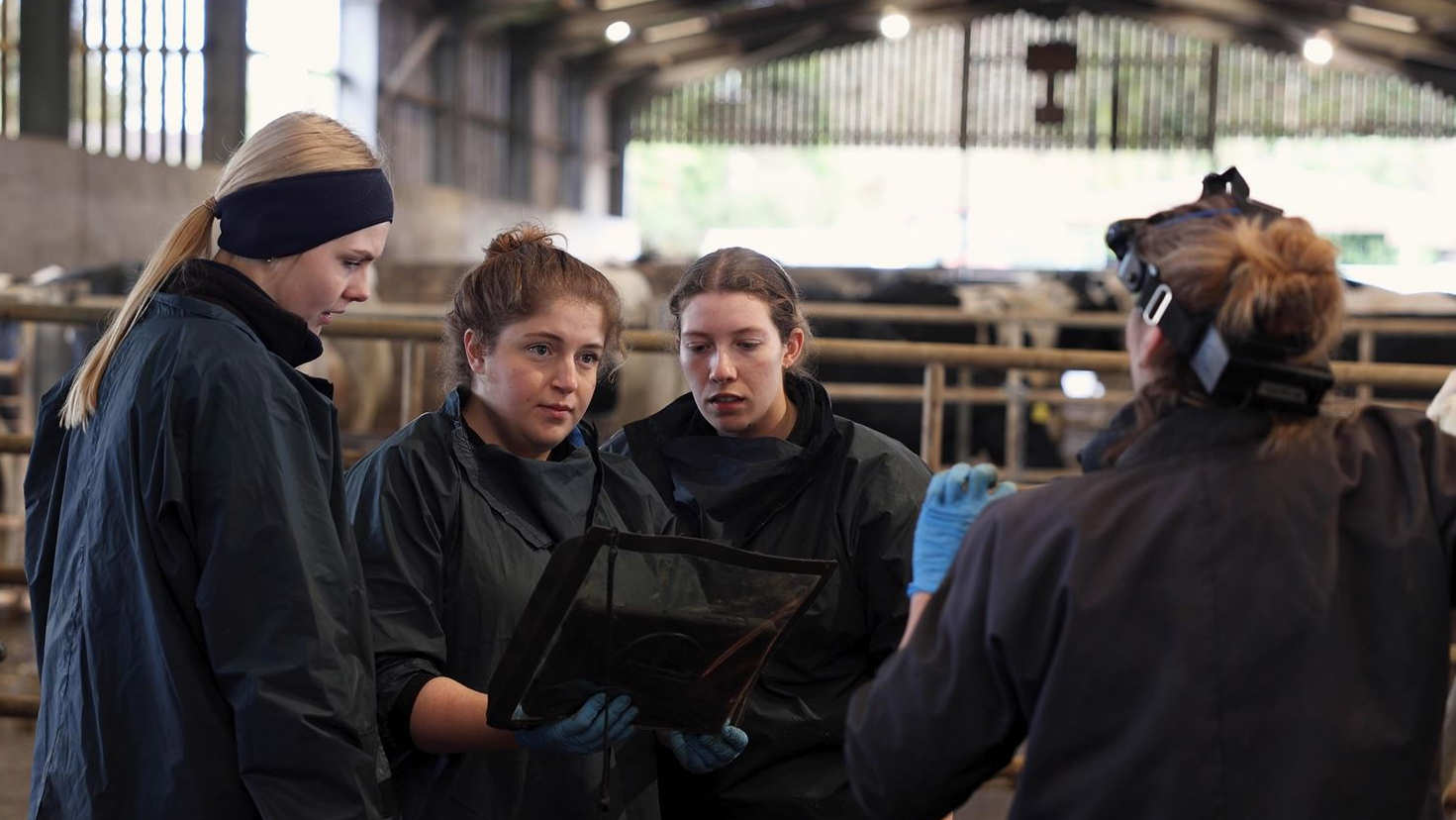 Three vet students looking at a scanner and being taught by a farm vet on a dairy farm