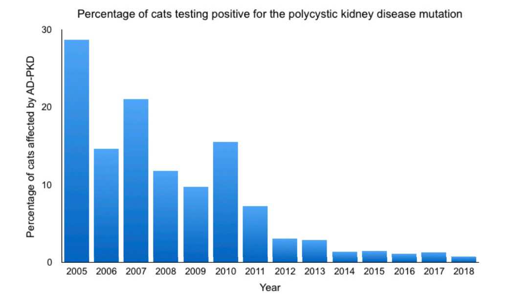 Graph shows the decline in the percentage of cats affected by AD-PKD from 2005 to 2018