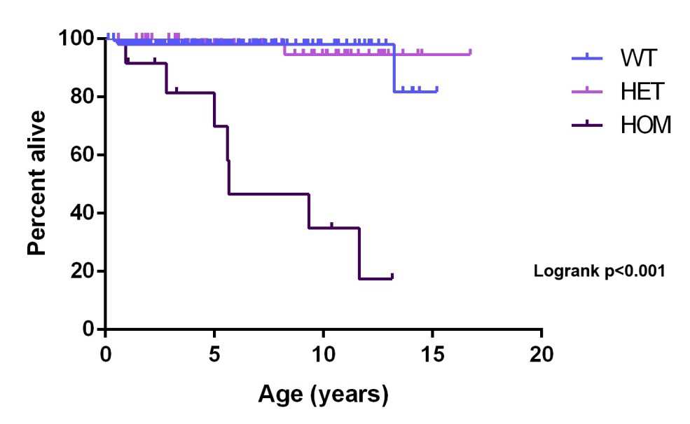 Graph shows survival rates with and without the HCM mutation